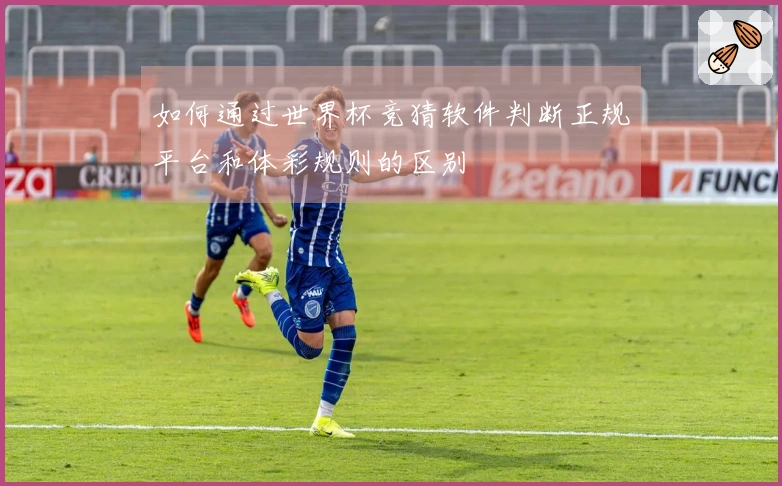 如何通过世界杯竞猜软件判断正规平台和体彩规则的区别